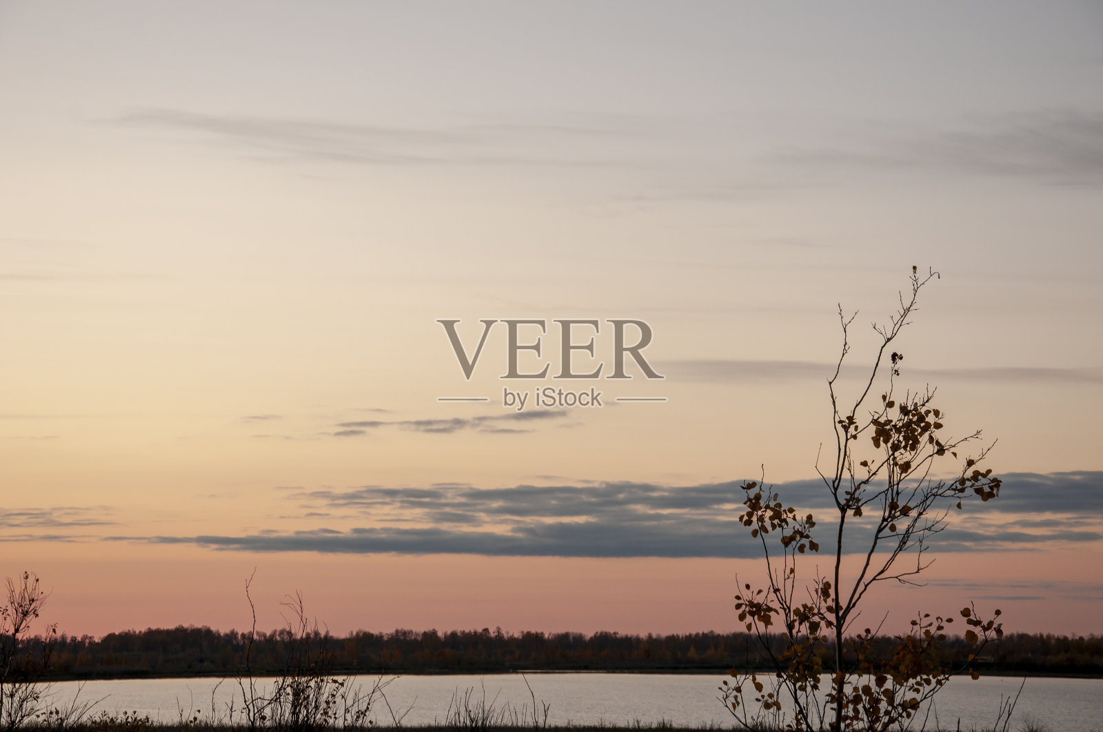 日落和日出。蔚蓝的天空，点缀着紫色的色调，还有许多云彩。树和草的剪影在河水中倒映。背景的天堂。美丽的晚上照片摄影图片