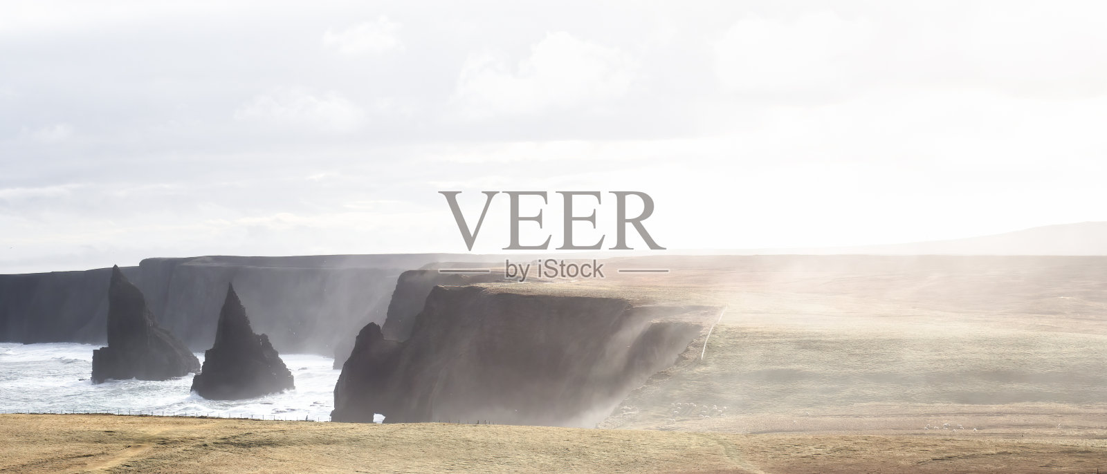 John o '燕麦照片摄影图片