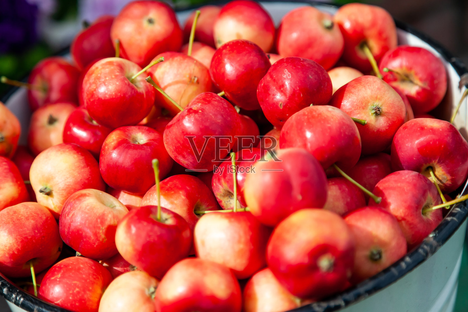 一个满桶成熟的红色小Ranetka苹果的特写，以花园的花为背景，在村庄的秋天为制作果酱或果汁而收获。照片摄影图片