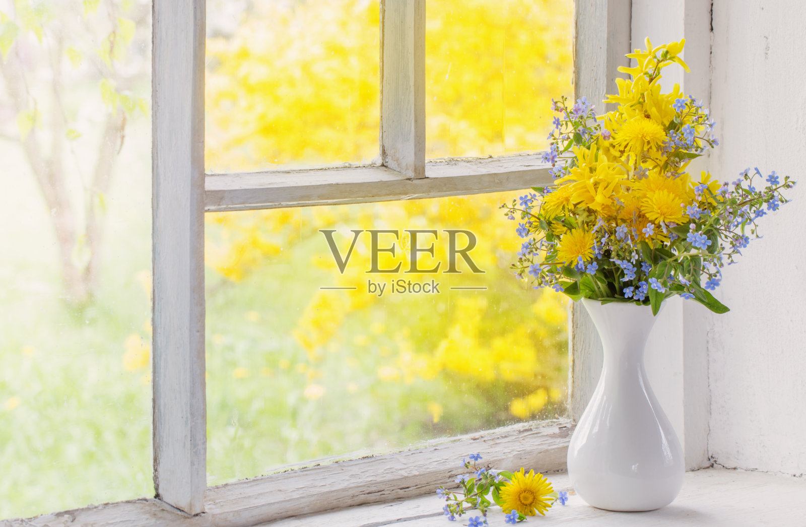 蒲公英和勿忘我放在窗台上的花瓶里照片摄影图片