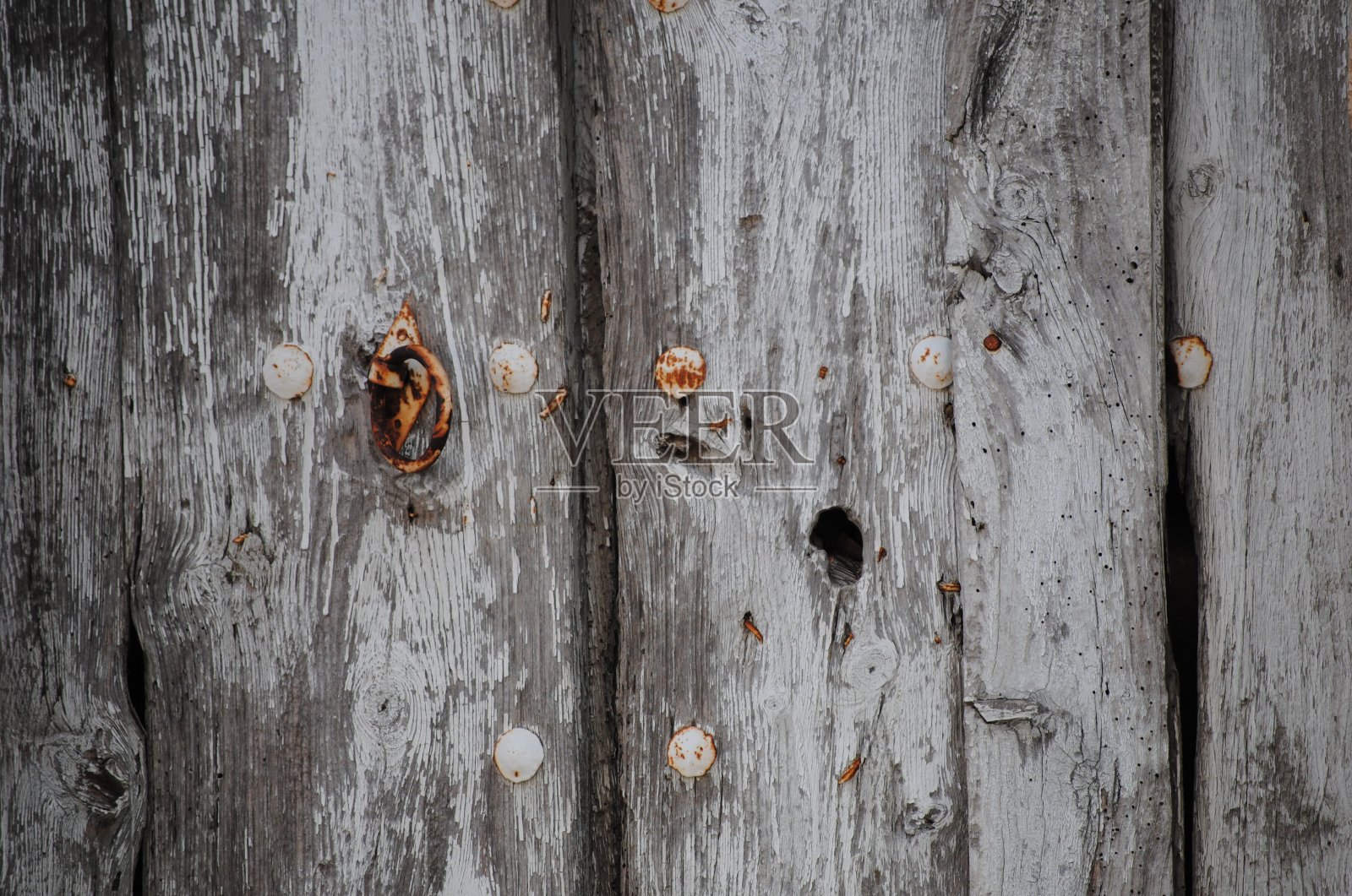 质朴的照片摄影图片