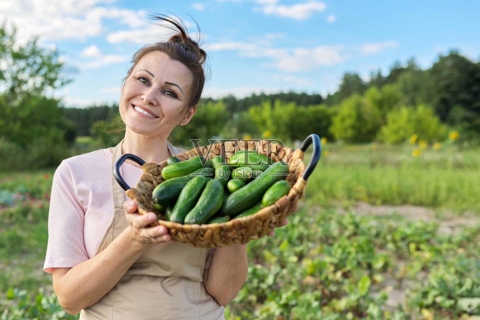 微笑着的成熟女人拿着一篮新鲜的摘黄瓜照片摄影图片