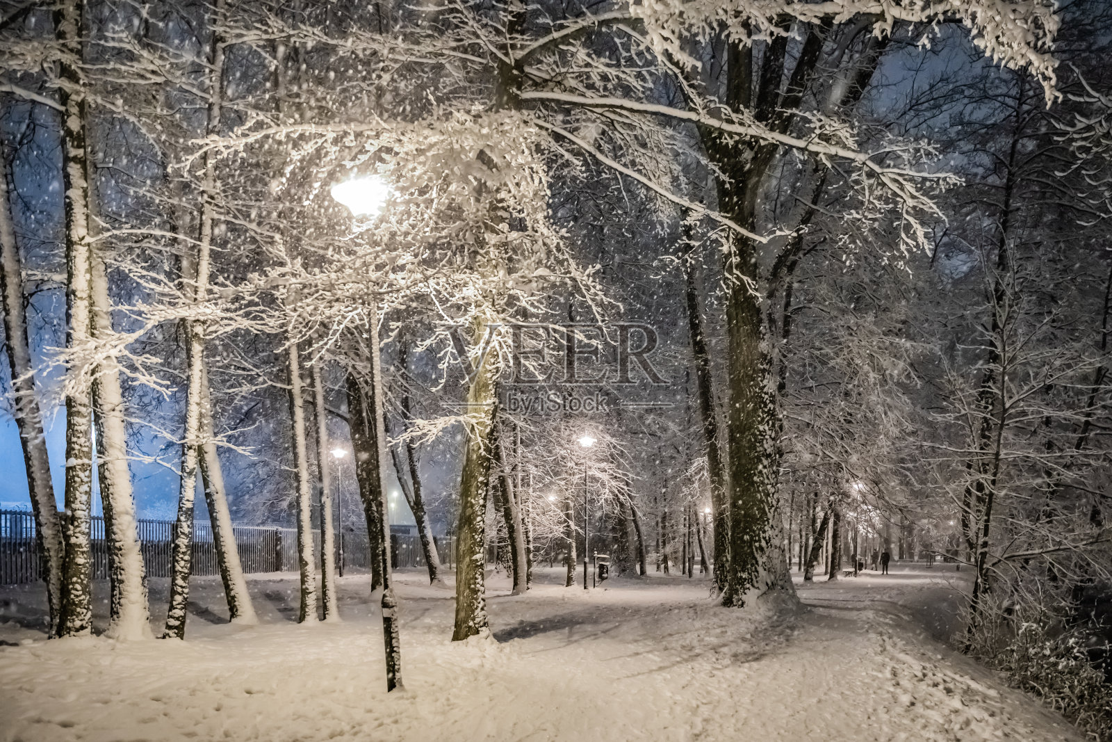波兰克拉科夫市冬季城市公园的新鲜城市雪照片摄影图片