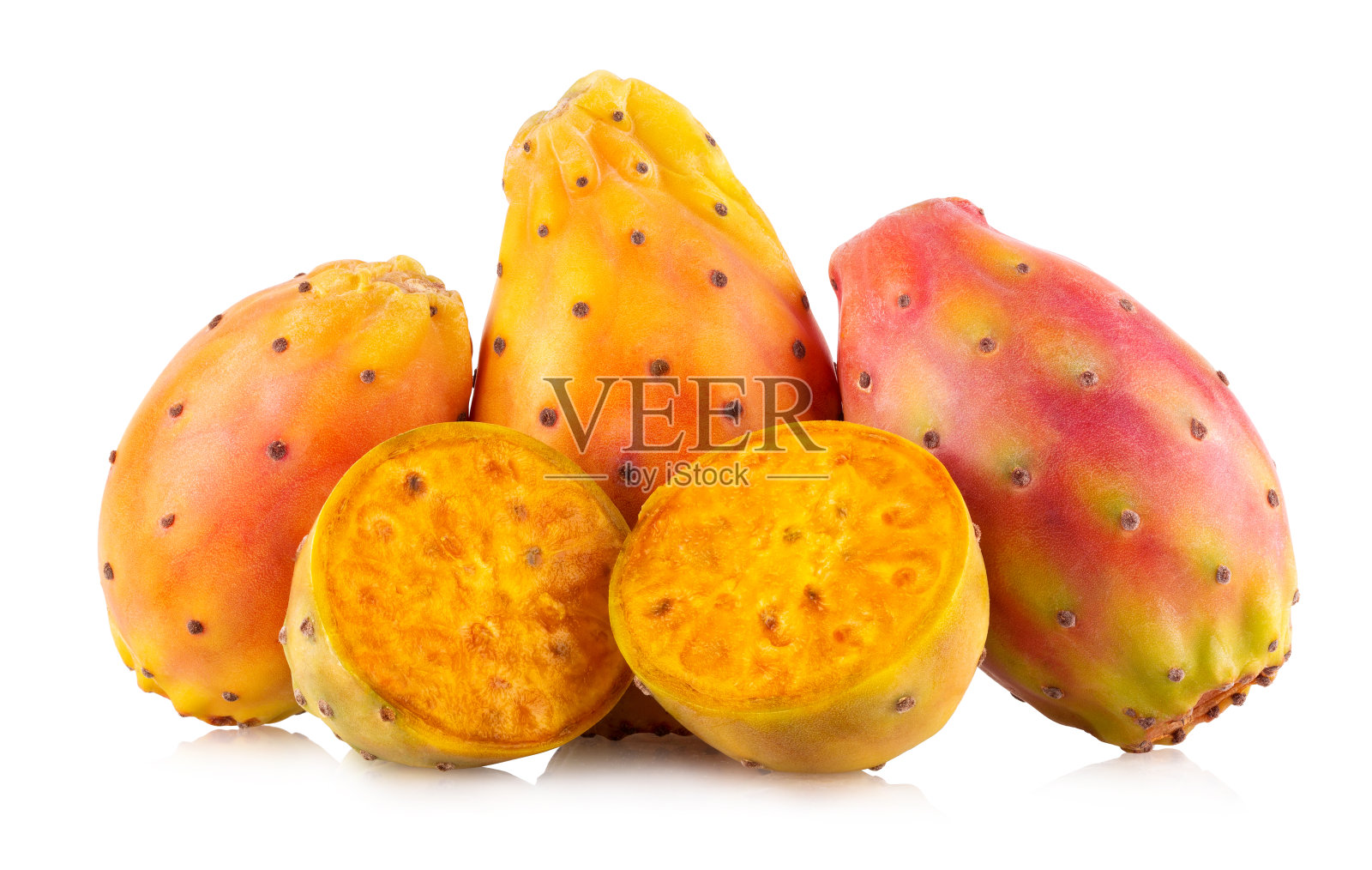 仙人球照片摄影图片