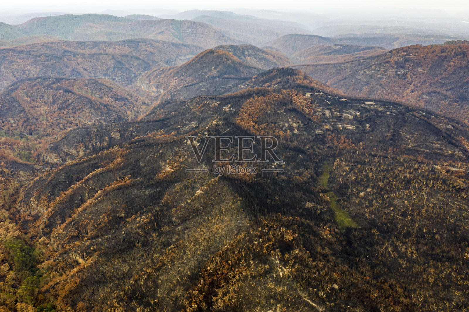 澳大利亚丛林火灾破坏照片摄影图片