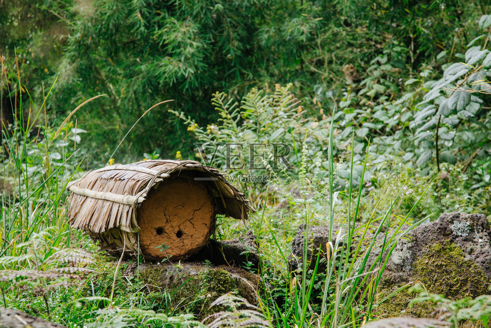 非洲卢旺达的传统蜂巢照片摄影图片