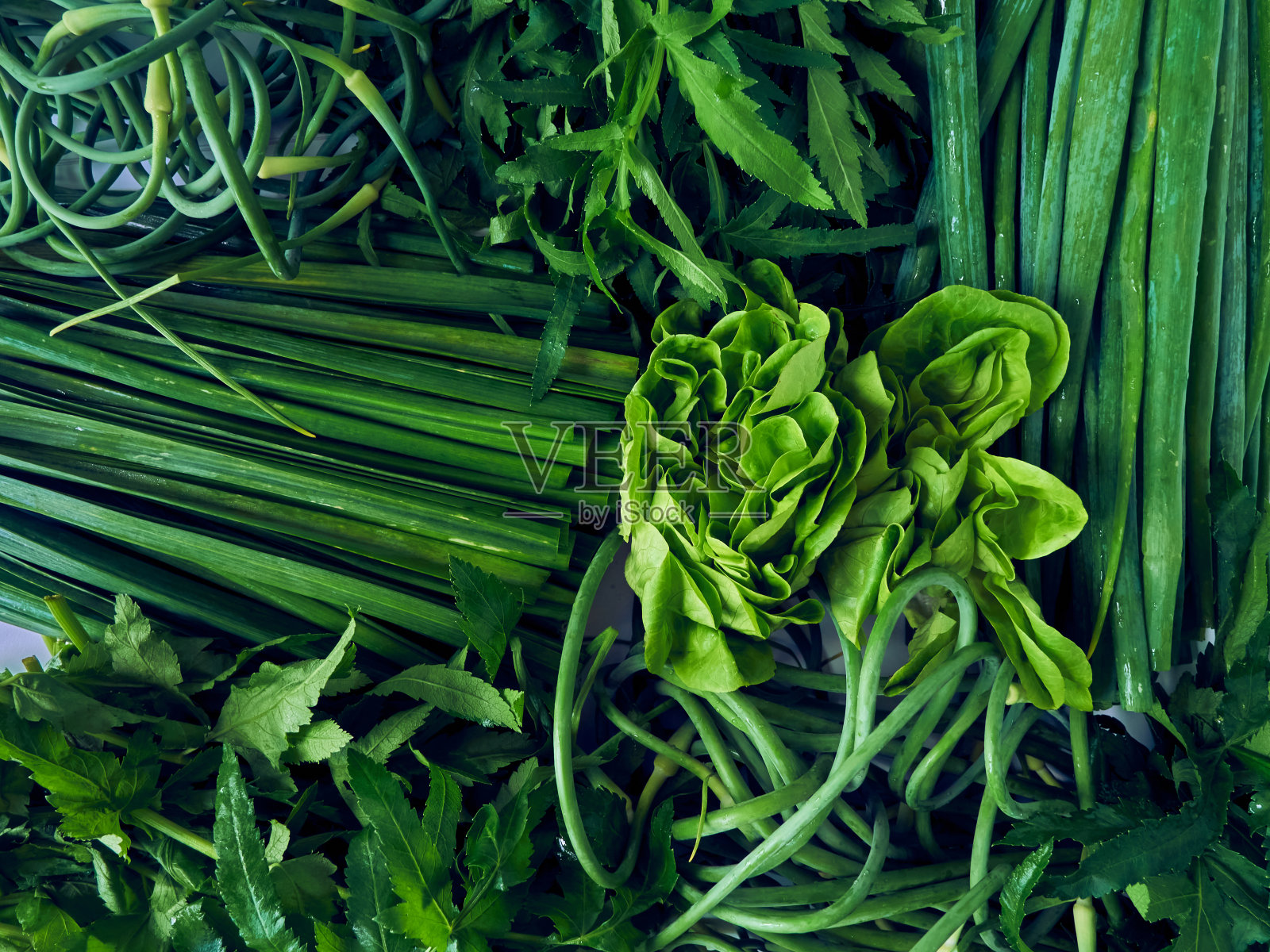 绿色蔬菜和叶子。照片摄影图片