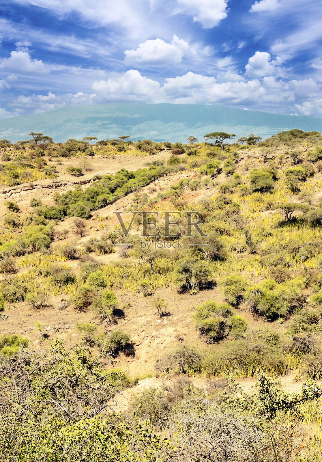 Ngorogoro保护区照片摄影图片