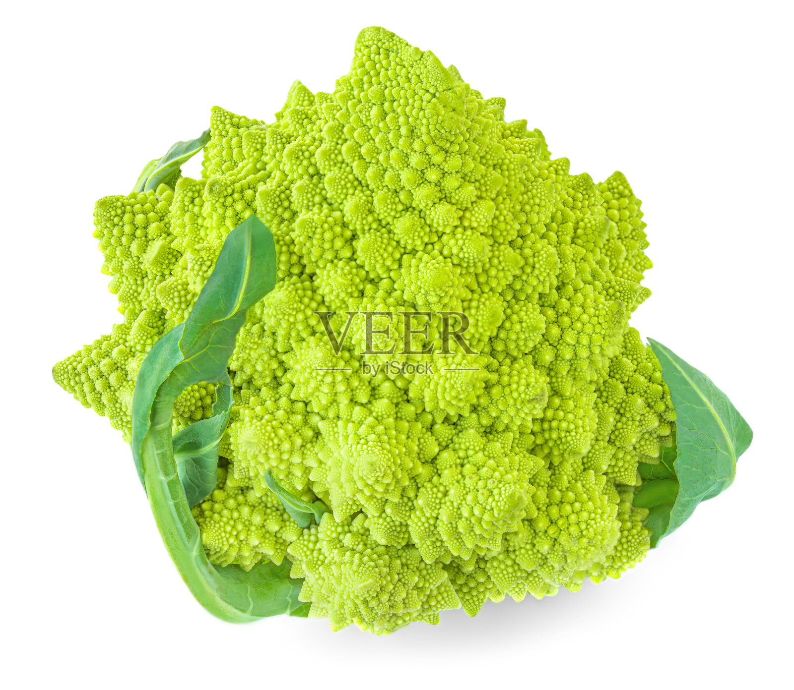 孤立在白色背景上的罗马花椰菜或罗马花椰菜。素食食品的概念。“n照片摄影图片