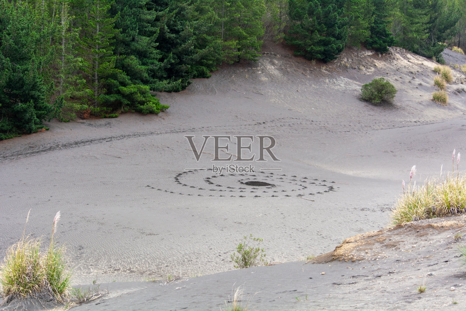 位于厄瓜多尔的Palmira沙漠照片摄影图片