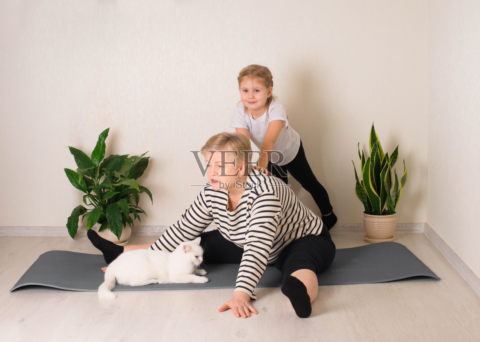 快乐的老年妇女做伸展运动与她的孙女的帮助。小女孩微笑着训练她的奶奶和猫在家里。积极的生活方式，家庭宠物和世代概念。照片摄影图片