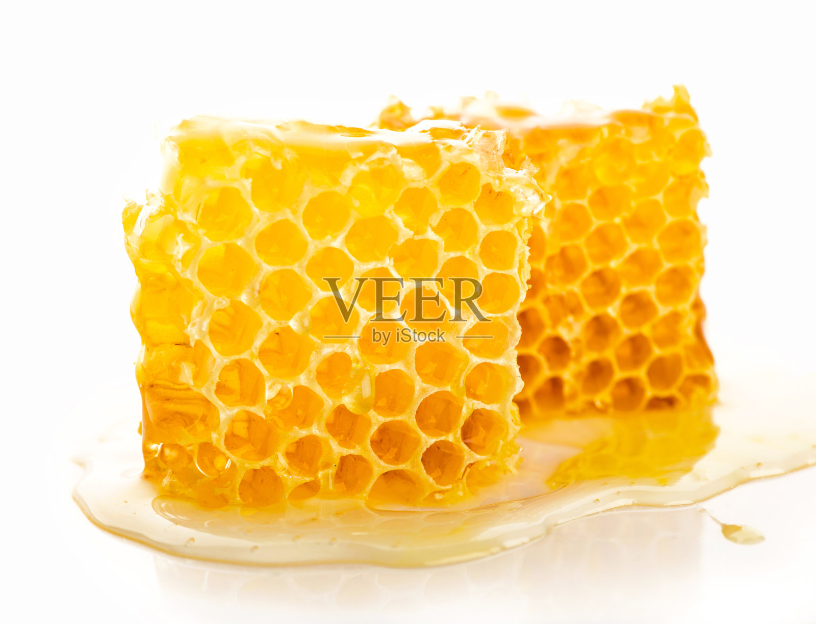 一束干蒲公英放在一罐水里，背景是黑色照片摄影图片