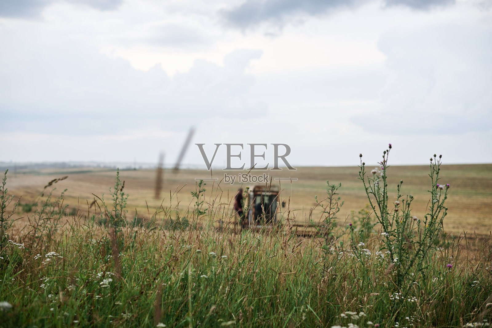 场景观照片摄影图片