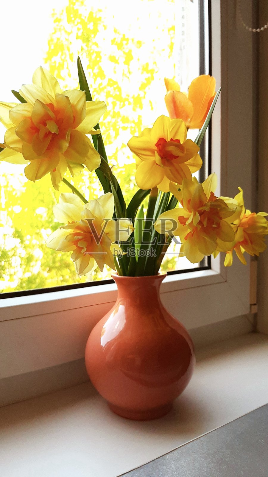 窗台上的花瓶里插着黄色的水仙花照片摄影图片