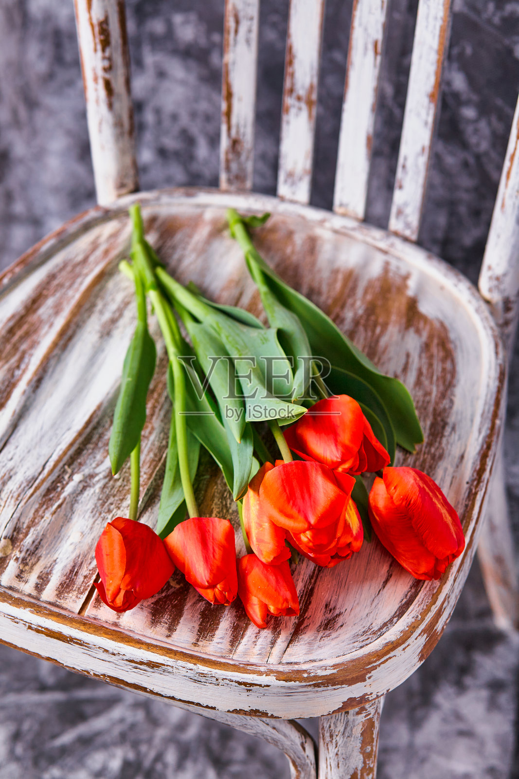 红色郁金香放在老式的白色木制椅子上照片摄影图片