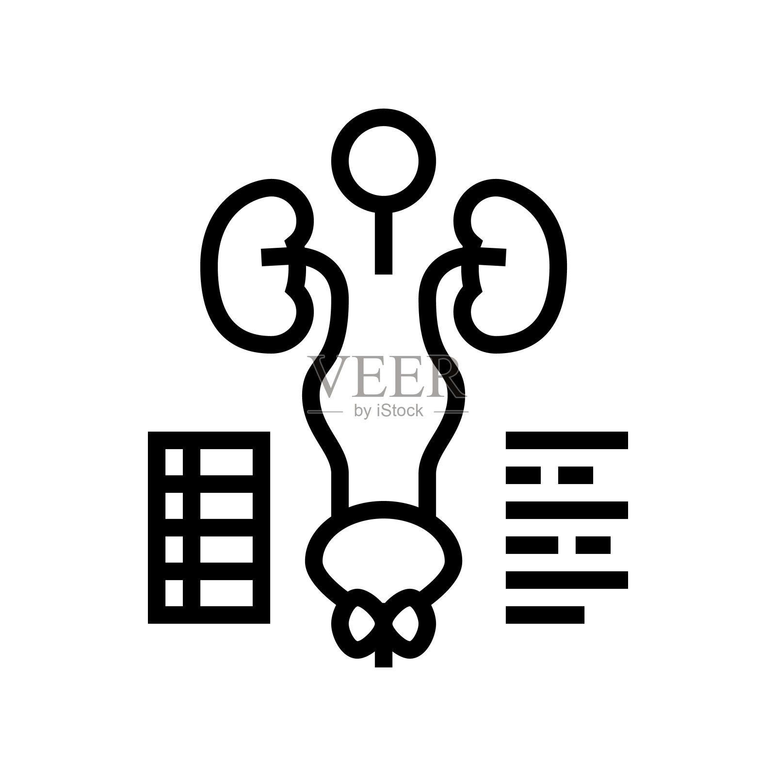 检查泌尿生殖系统线图标矢量图插画图片素材