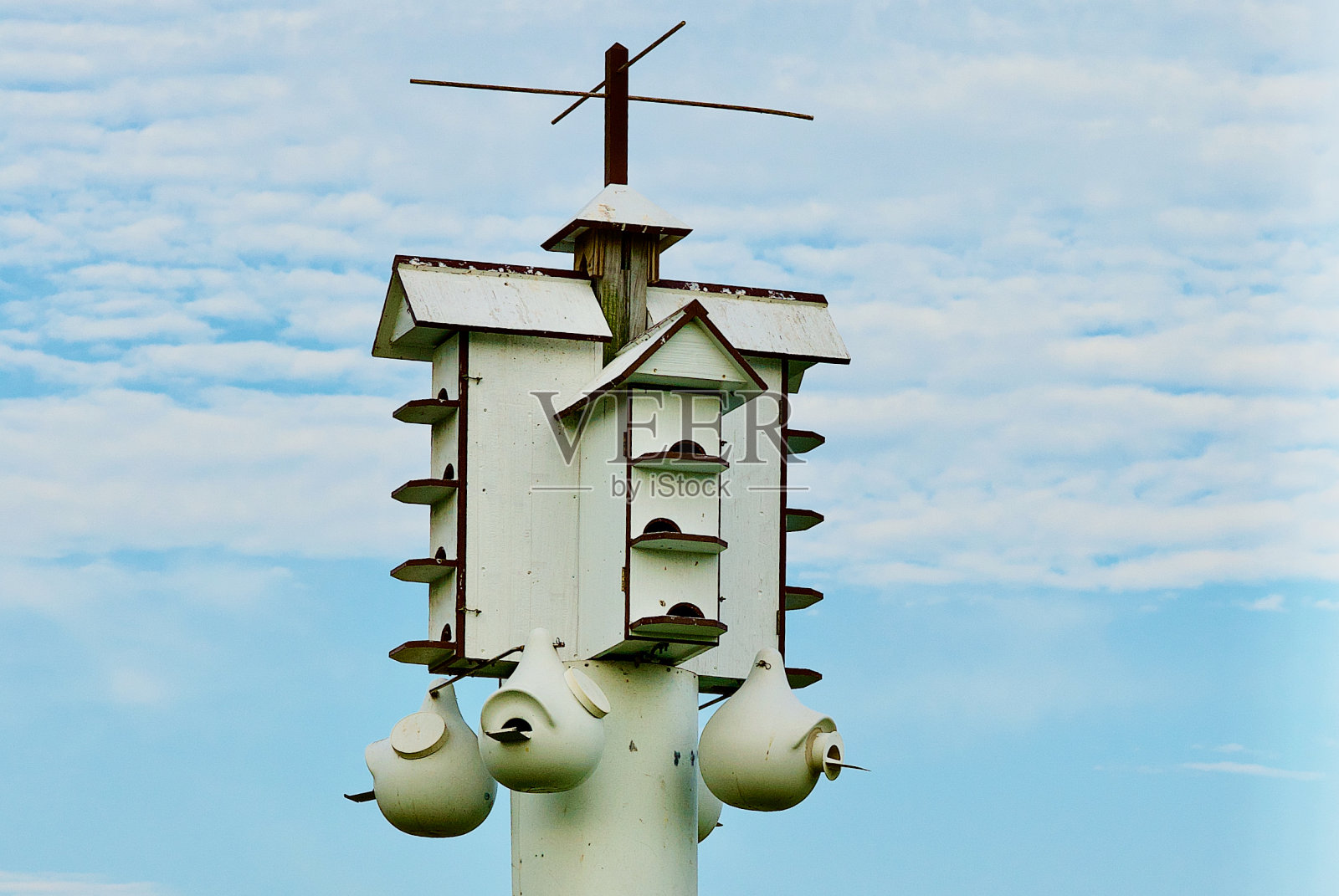 杆子上的鸟笼照片摄影图片