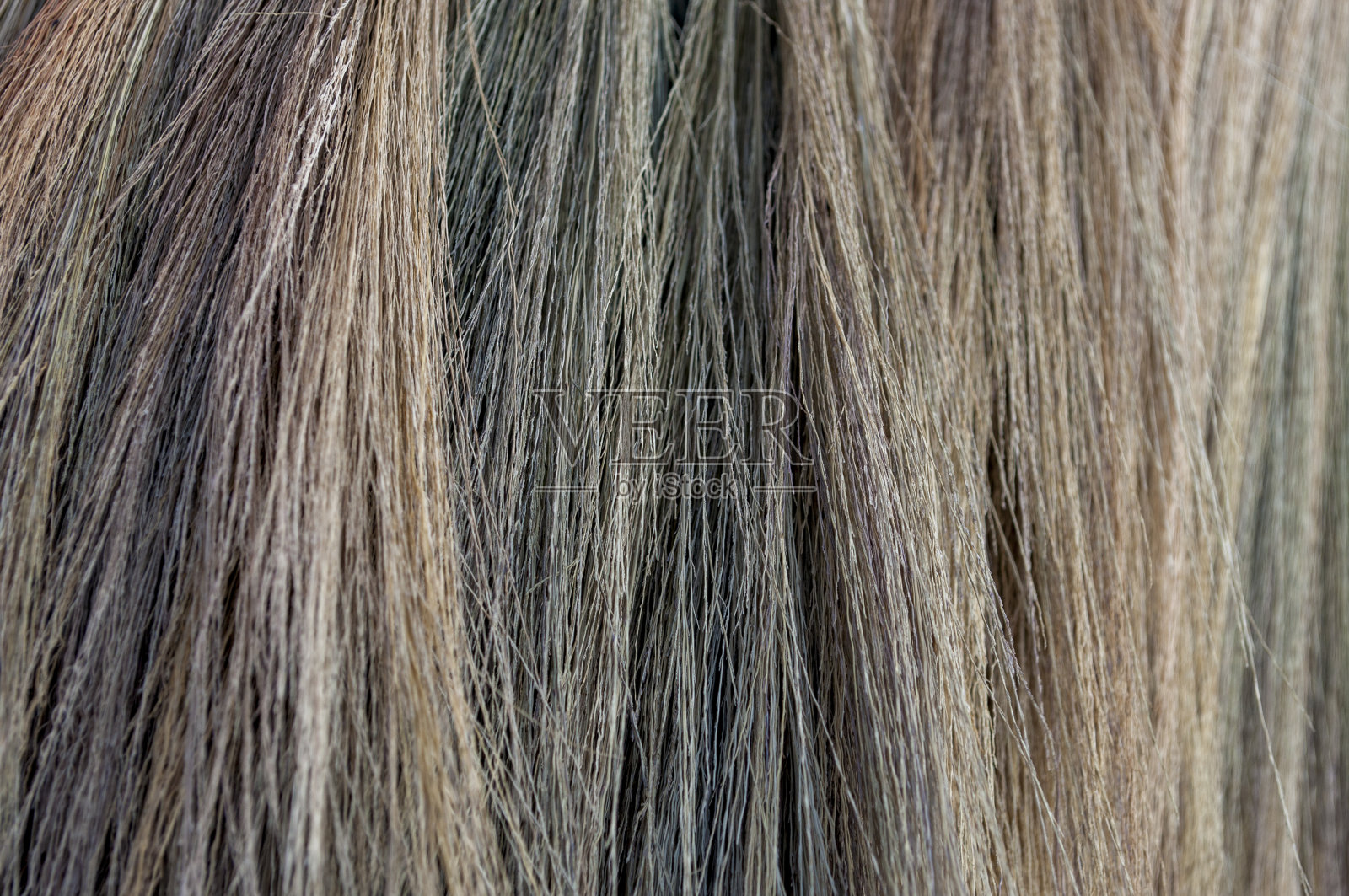 抽象的纹理扫花照片摄影图片