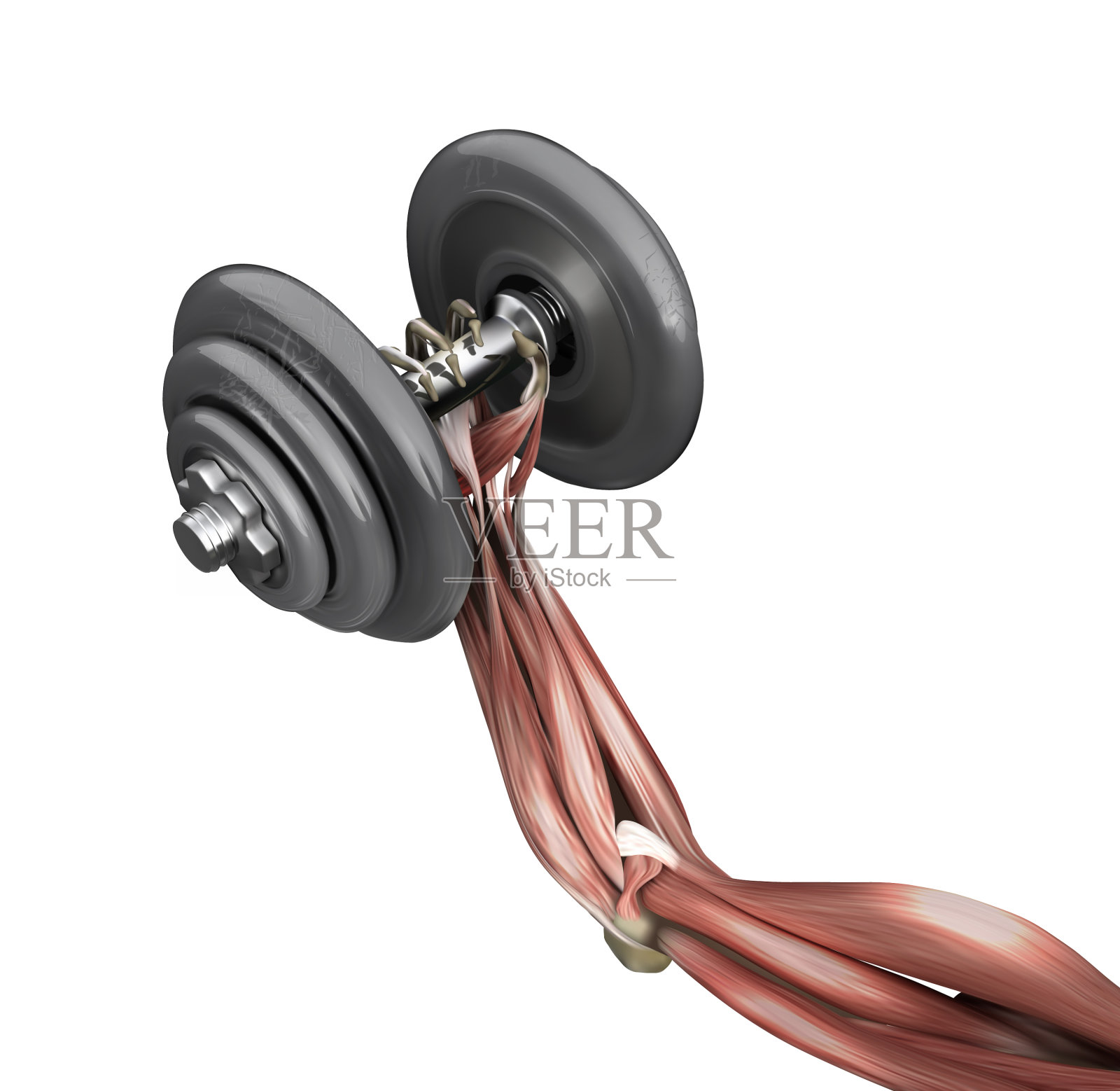 手臂肌肉哑铃手运动员设计元素图片