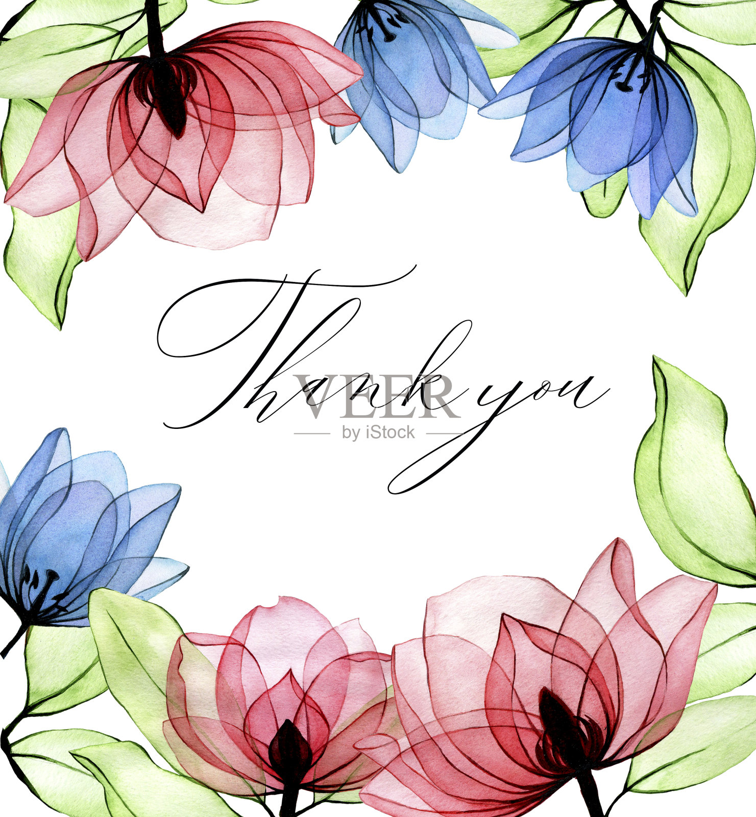 水彩方形框架与透明的花。祝贺，邀请，婚礼装饰。透明的粉色野玫瑰和蓝色郁金香。柔和的尘土飞扬的颜色插画图片素材