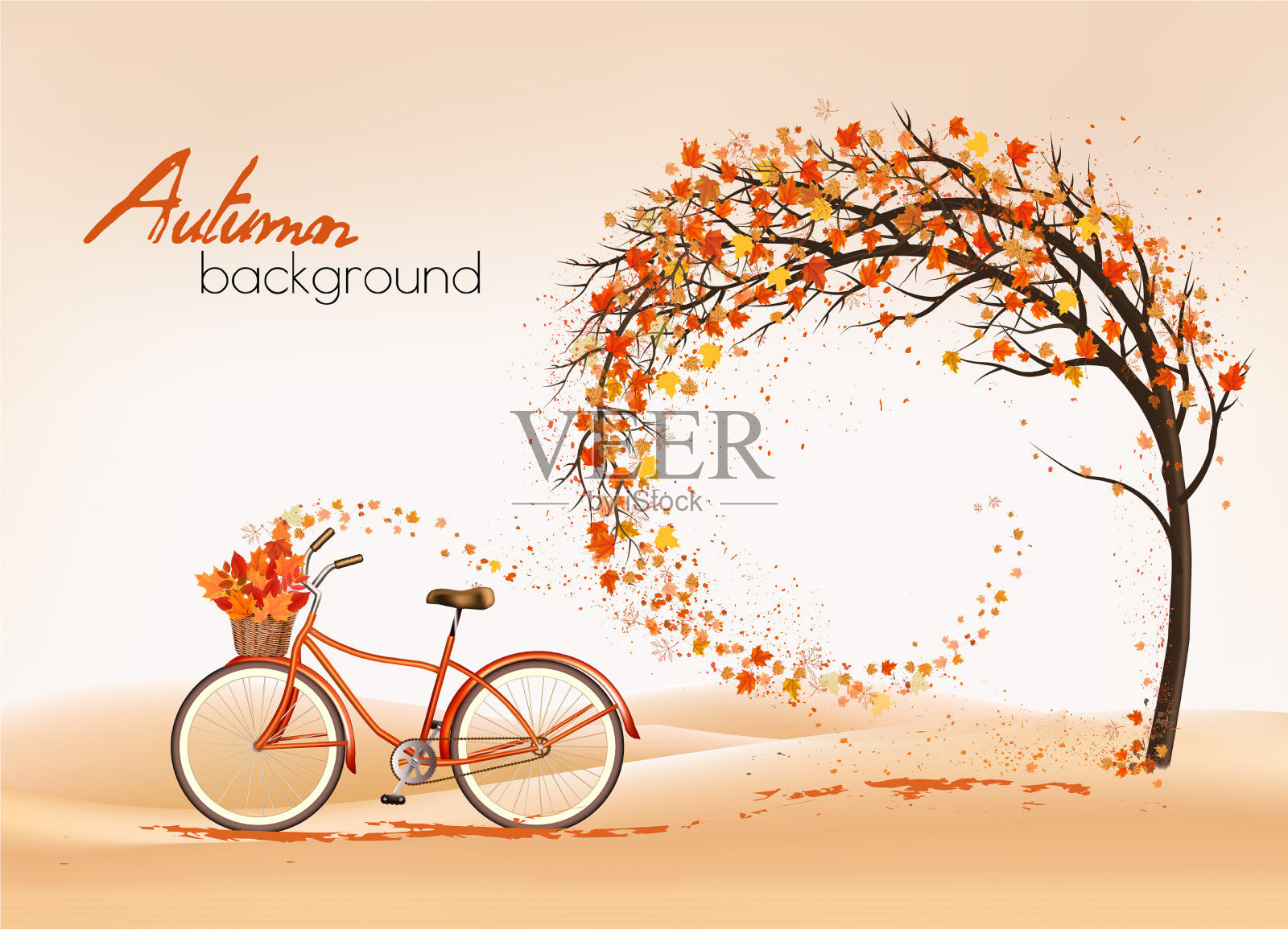 欣赏秋天背景树与五彩缤纷的树叶插画图片素材