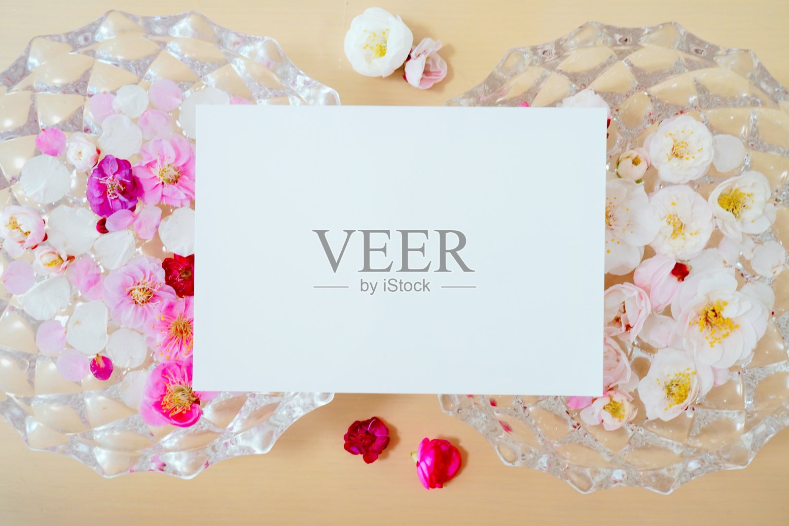 一个长方形白色卡片的模型，上面有许多红白相间的梅花照片摄影图片