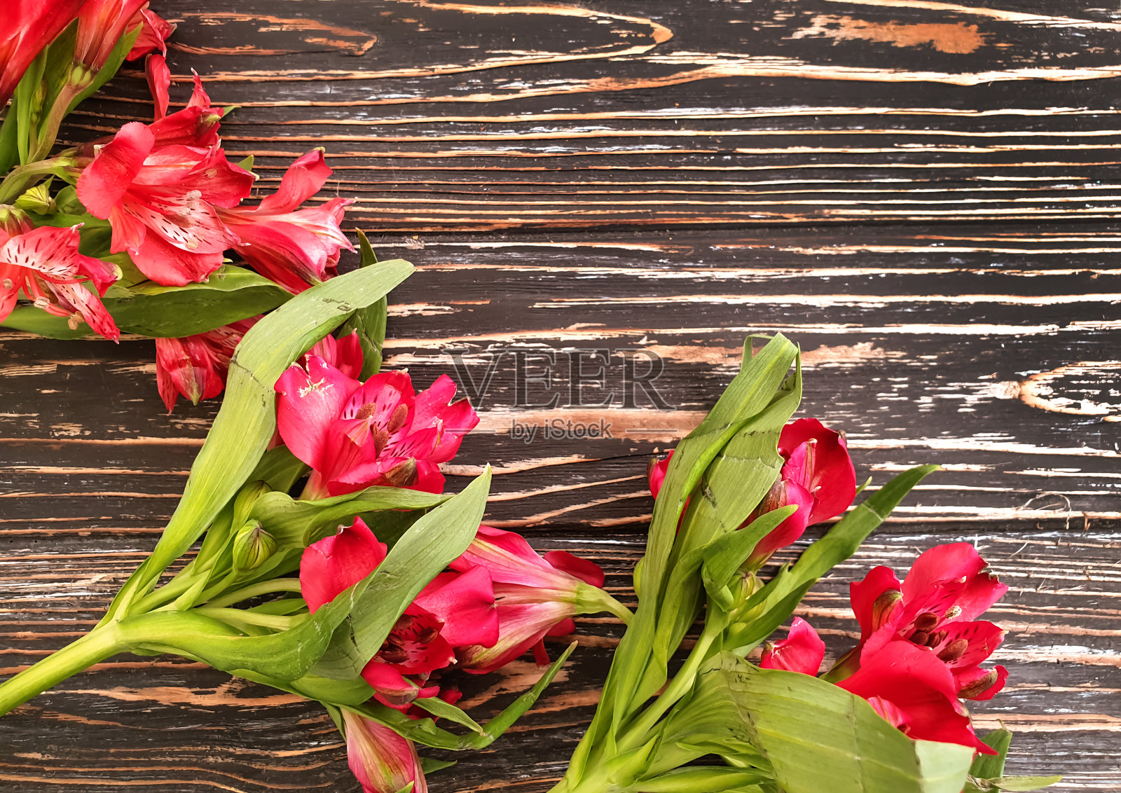 木框背景上的紫花花照片摄影图片