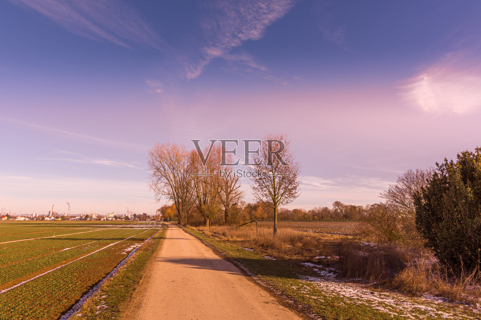 秋日紫色夜空中的田野小径照片摄影图片