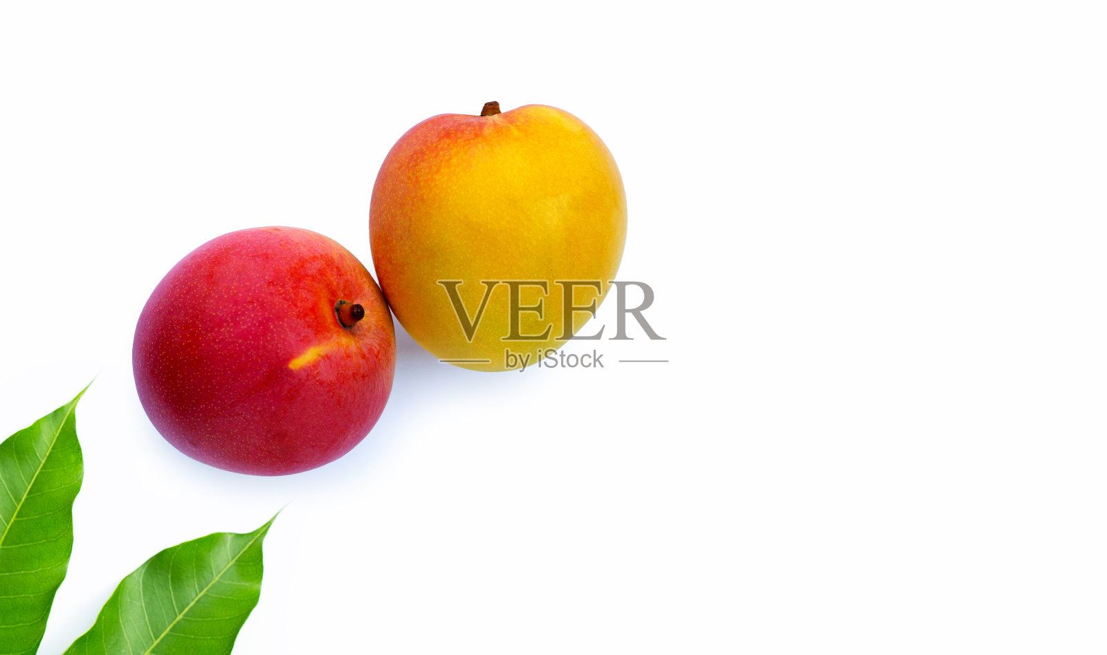 热带水果，白色背景的芒果。照片摄影图片