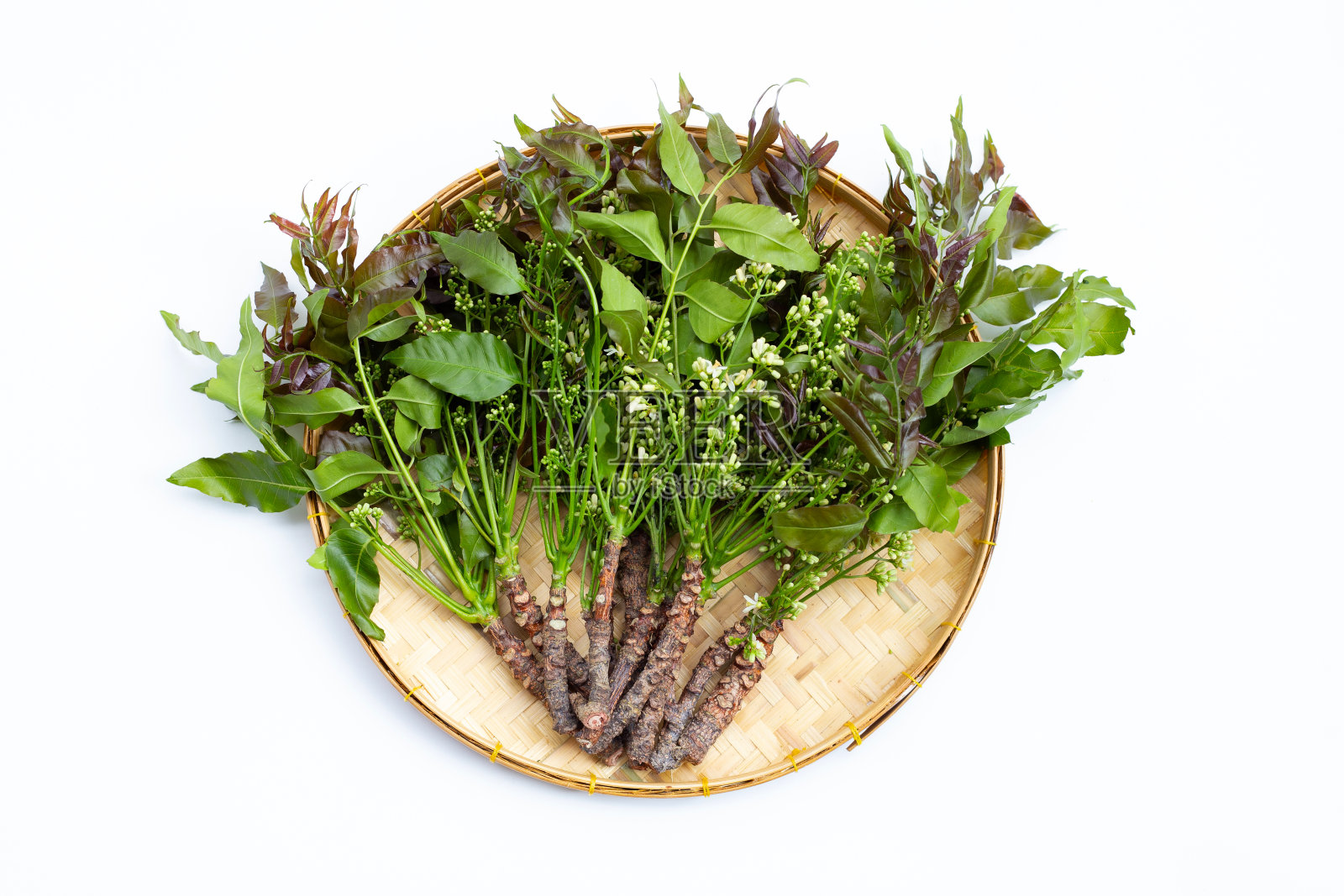 印楝的叶子和花是白色的照片摄影图片