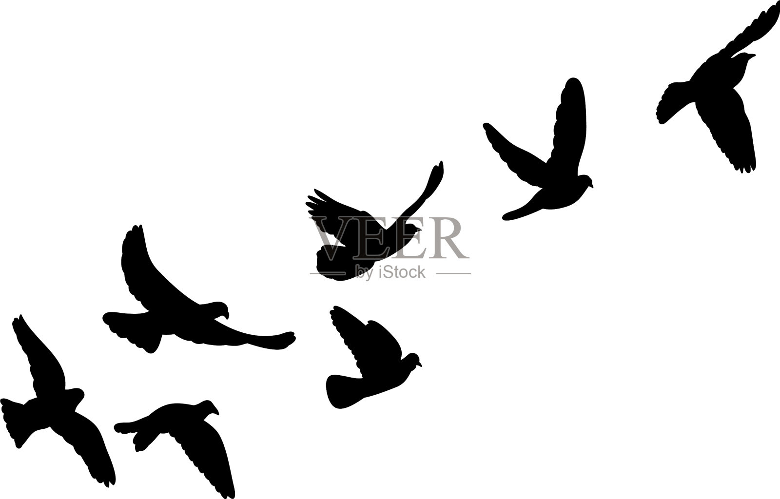 孤立的飞鸟剪影插画图片素材