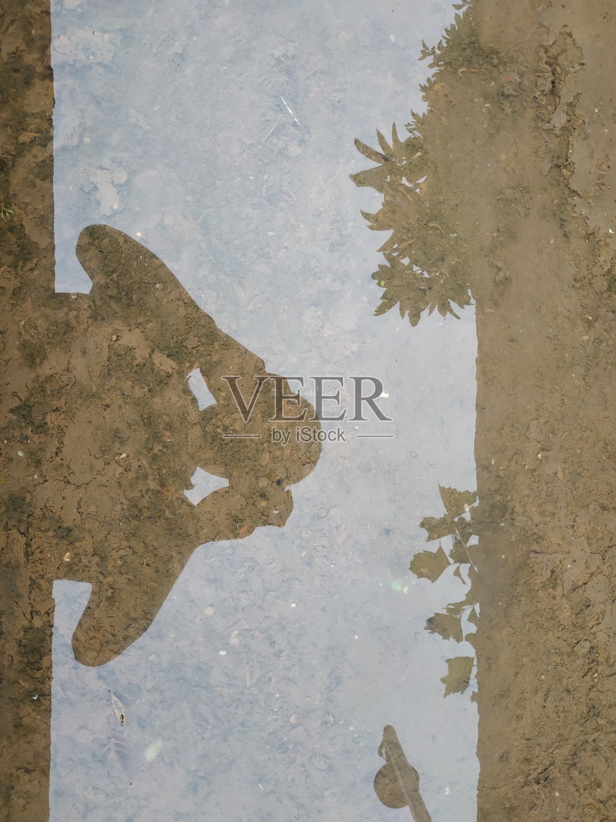 影子照片摄影图片