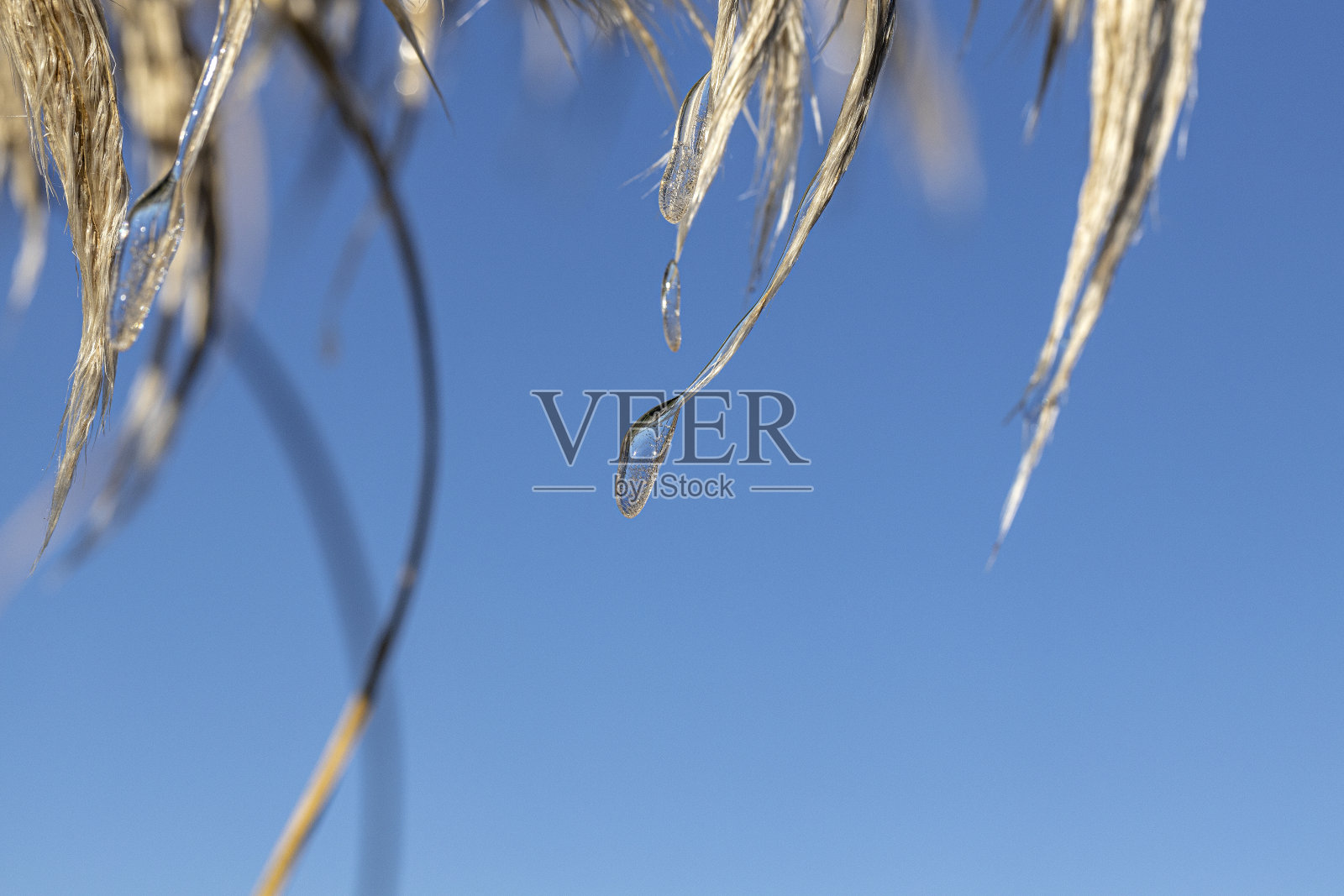 冻得很深看起来很美照片摄影图片