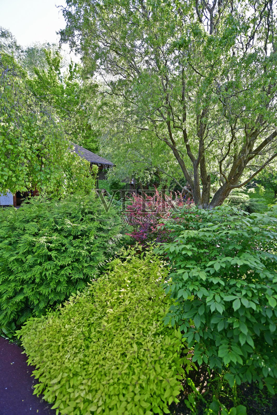 波尔塔瓦是乌克兰的一个城市。照片摄影图片