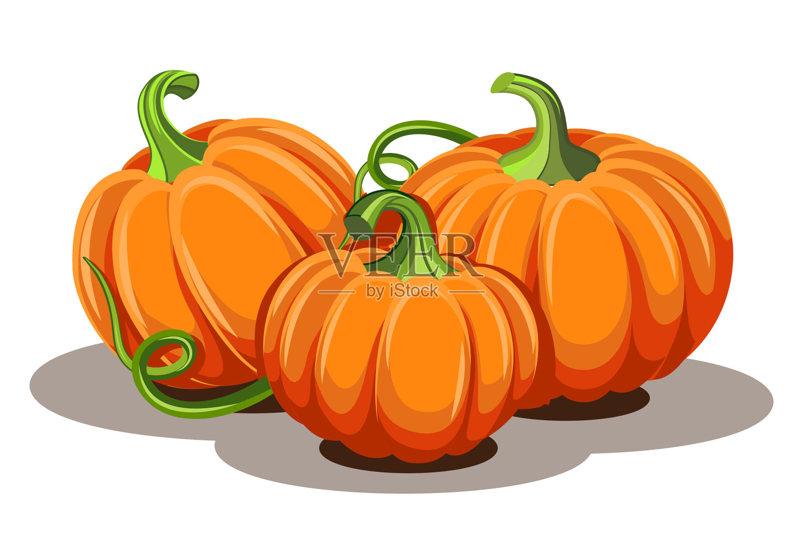 叶子孤立在白色背景上的南瓜设计元素图片