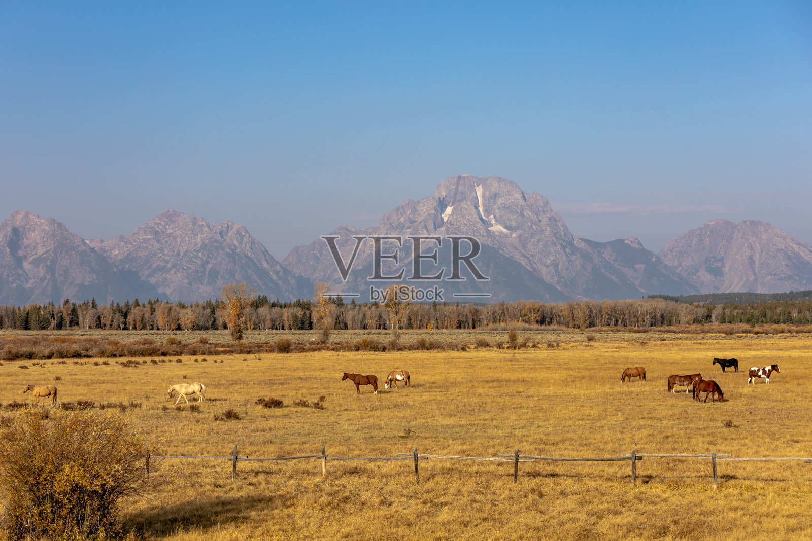 怀俄明州的大提顿国家公园照片摄影图片