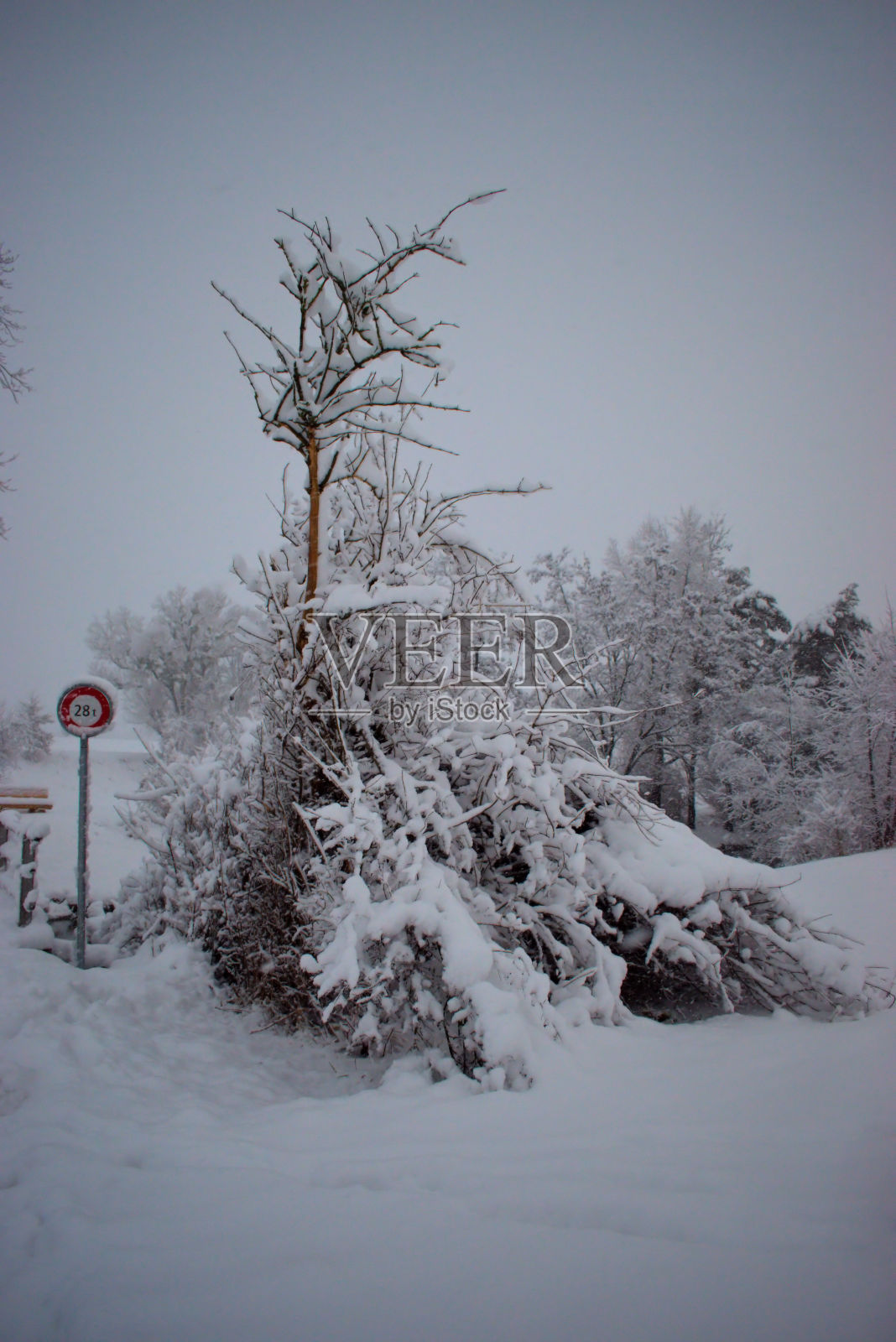 列支敦士登瓦杜兹阵雪后的冬季景观照片摄影图片