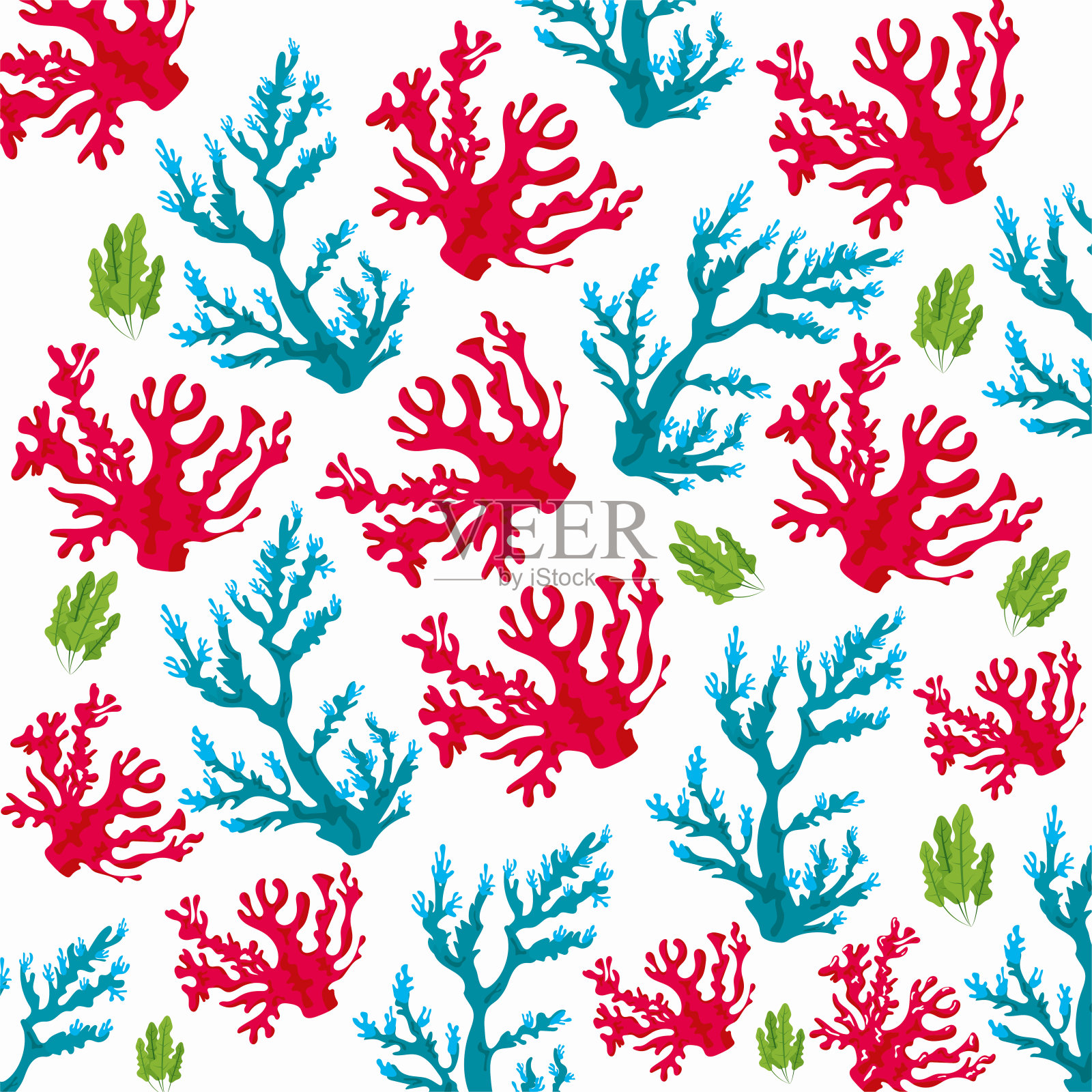 珊瑚海洋生物的自然模式在白色的背景插画图片素材