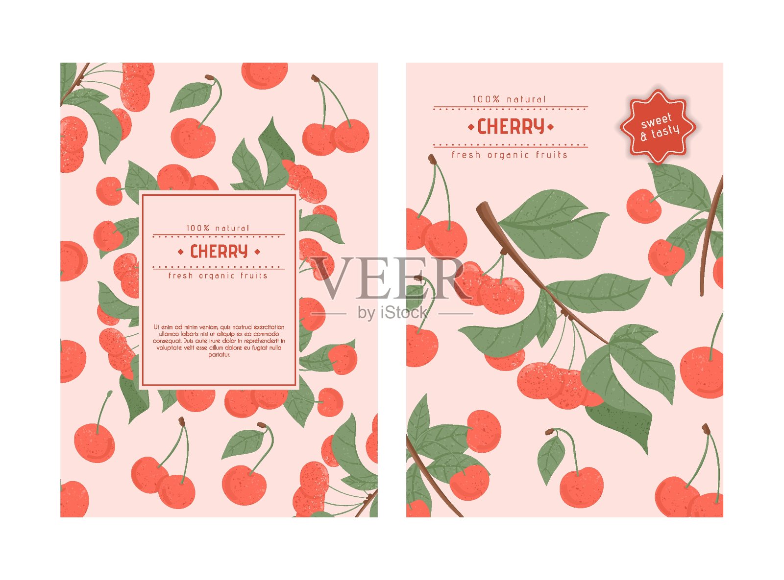 成熟的樱桃卡片设计。鲜甜的樱桃莓枝上带叶向量手绘横幅概念。插画图片素材