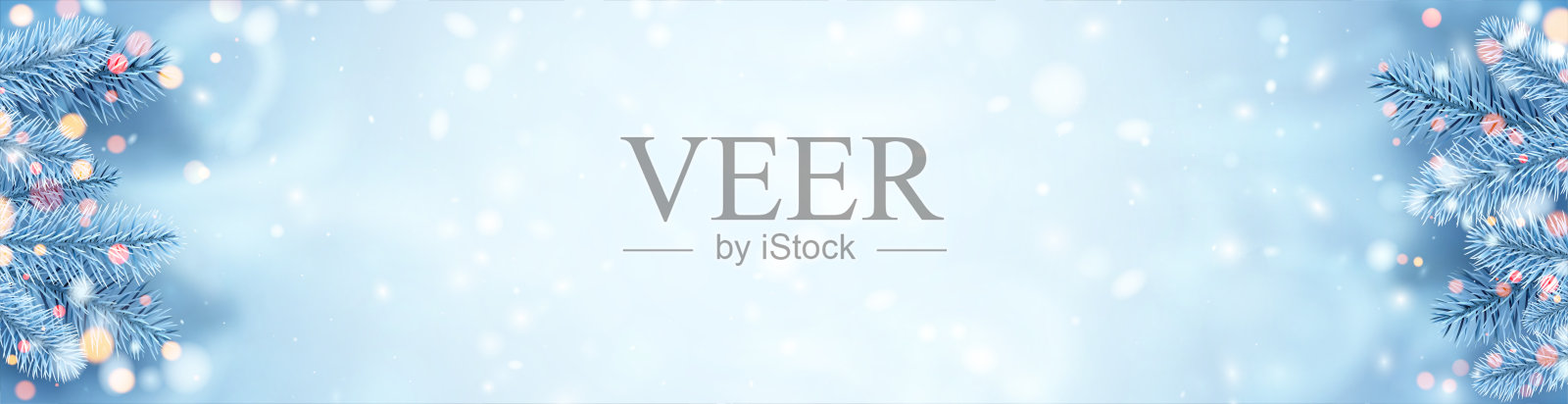 结霜的蓝色云杉树枝框架。插画图片素材