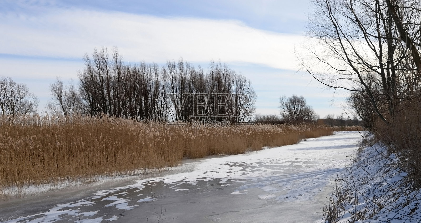 冬天的景色有雪和冻结的运河照片摄影图片