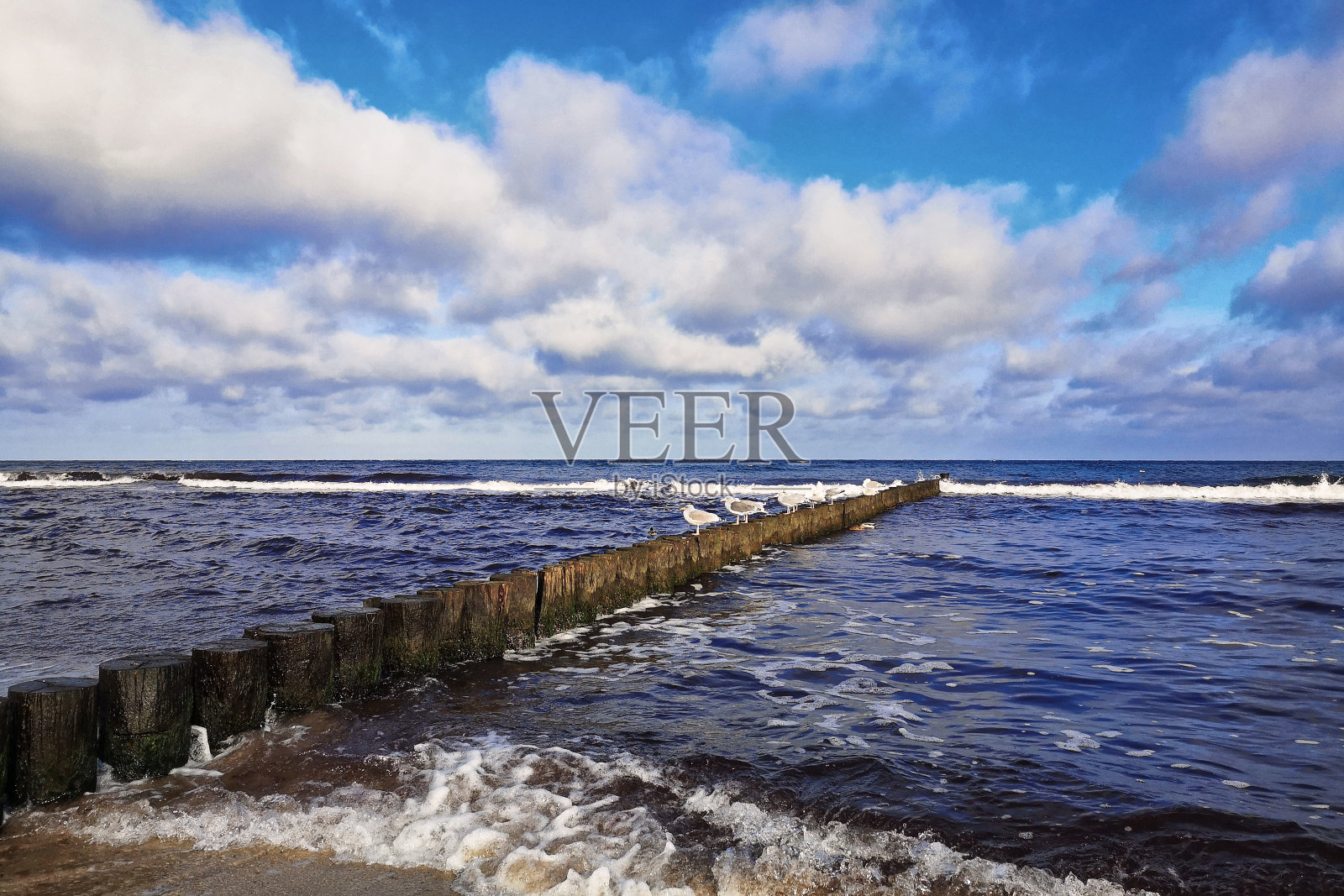 波罗的海沿岸照片摄影图片