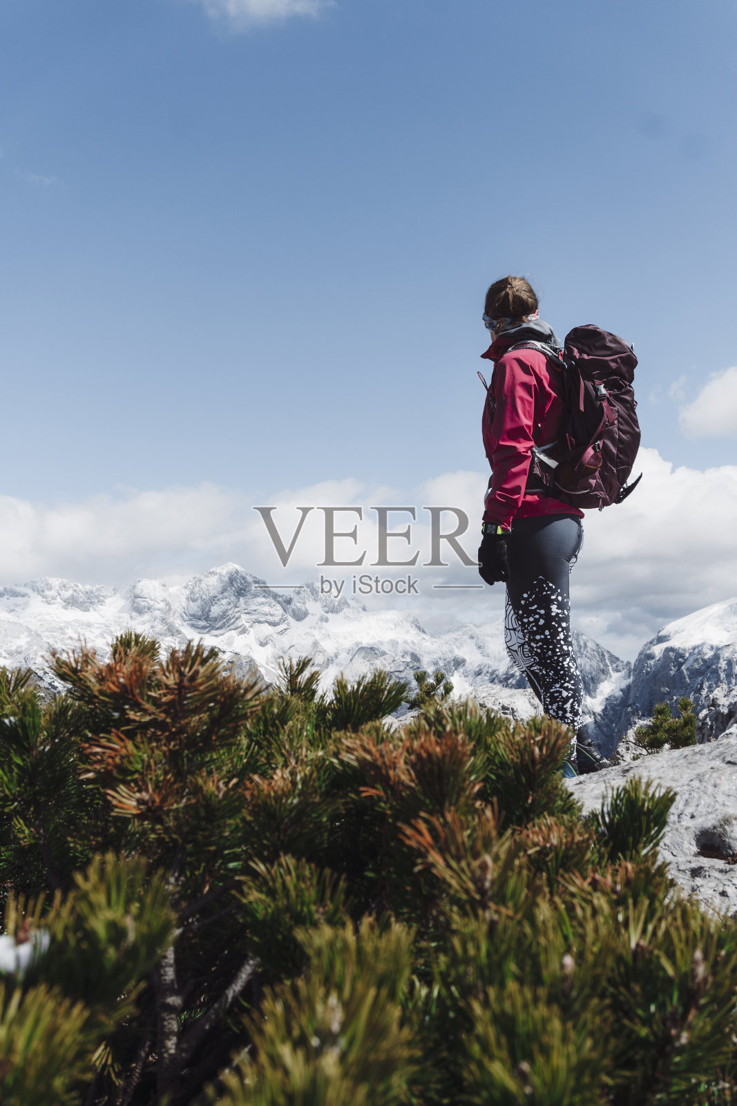 探索大自然照片摄影图片