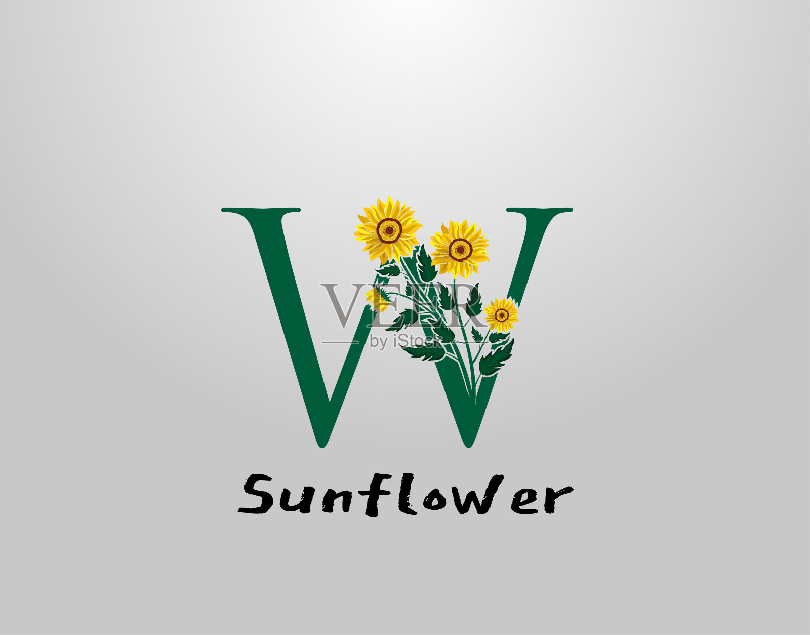向日葵植物W标志图标。插画图片素材