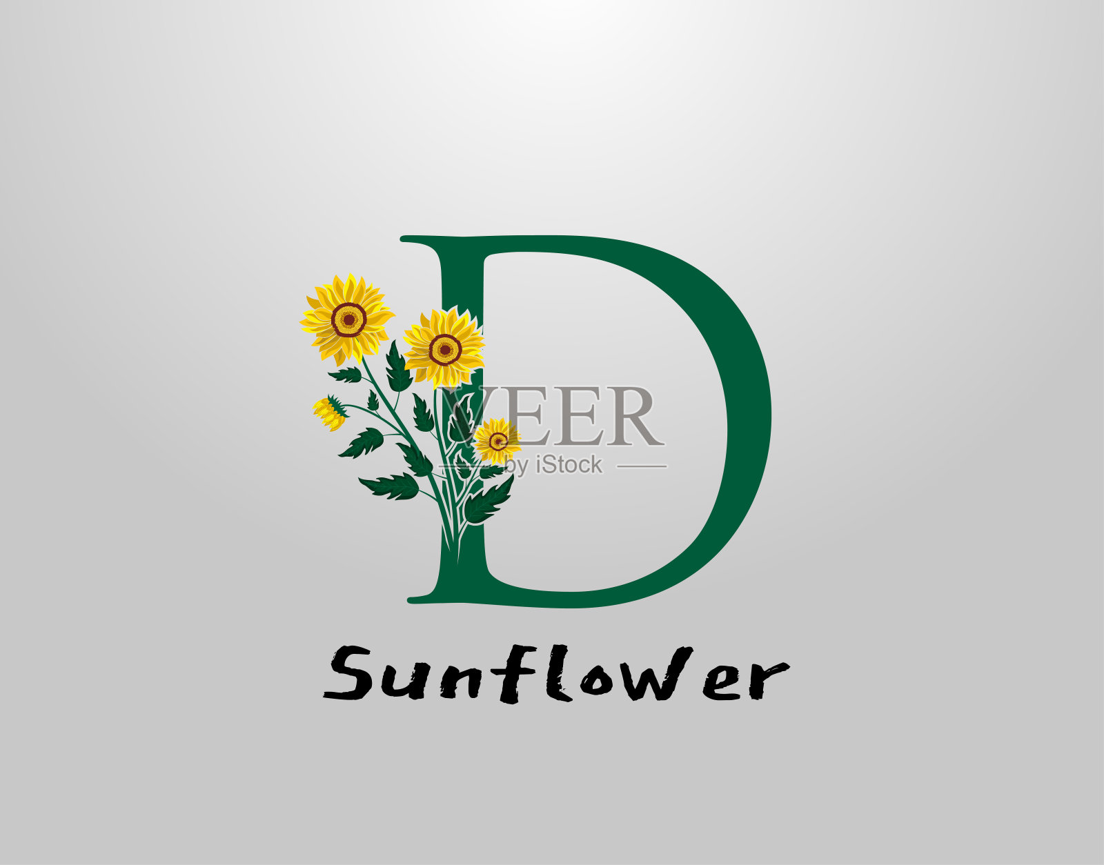 向日葵植物D标志图标。插画图片素材