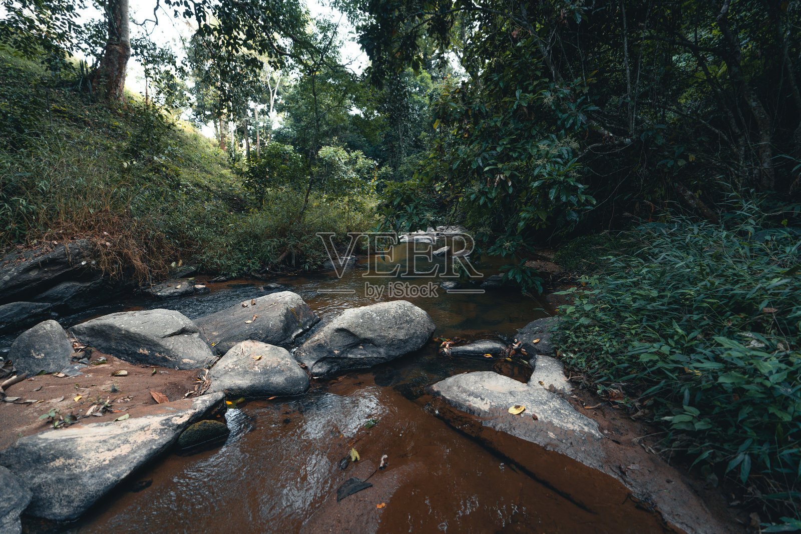 热带天然森林中的小溪和岩石照片摄影图片