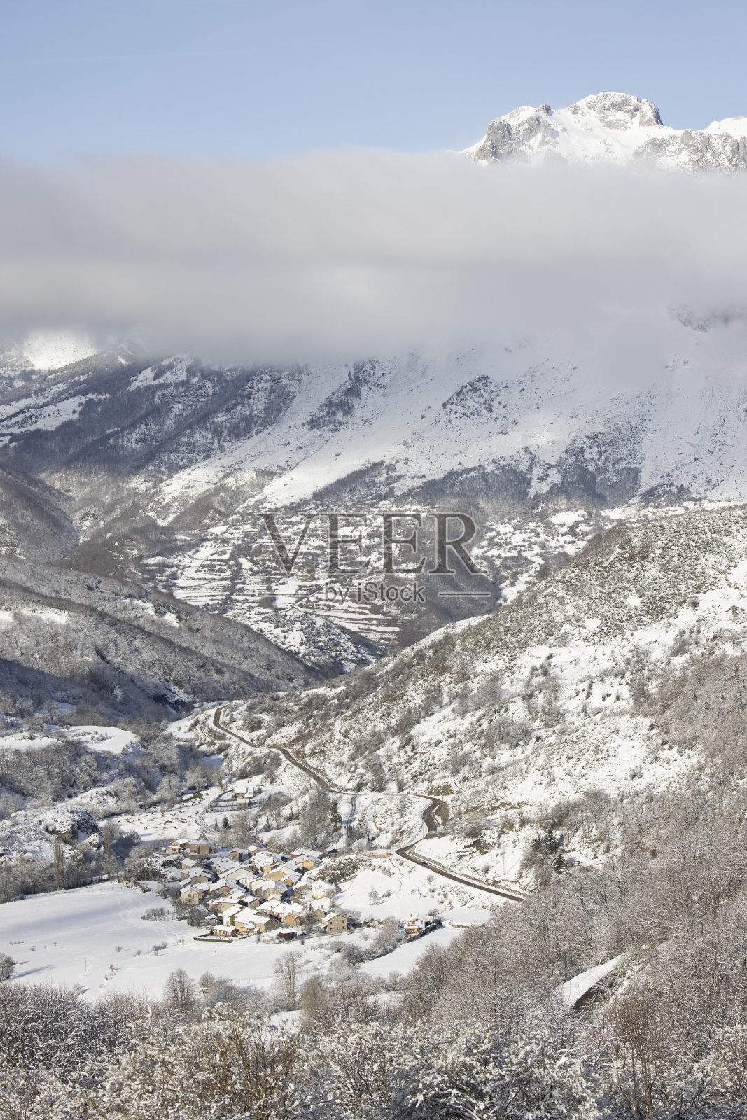 冬天森林和高山都下雪了照片摄影图片