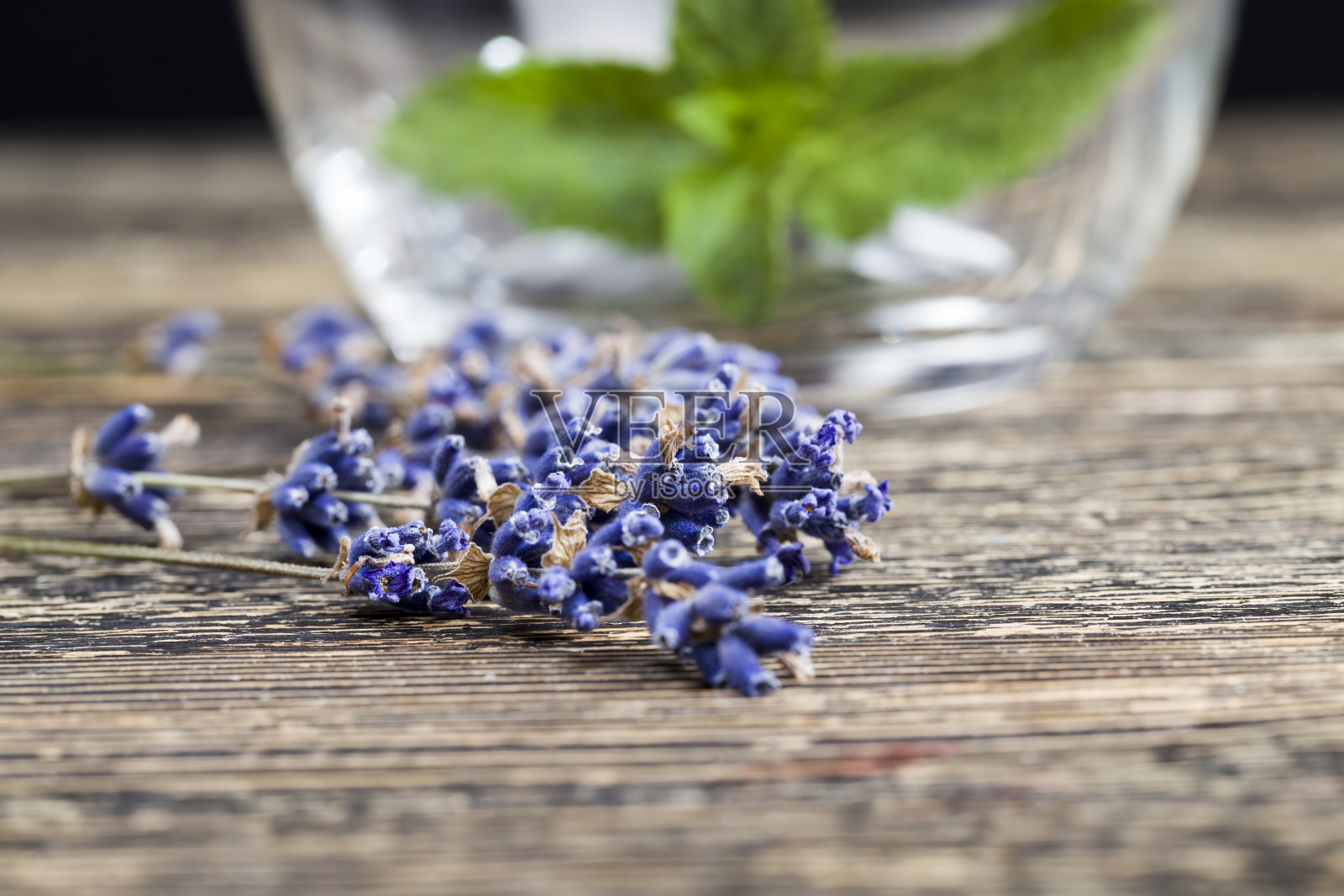 美丽的紫色薰衣草照片摄影图片