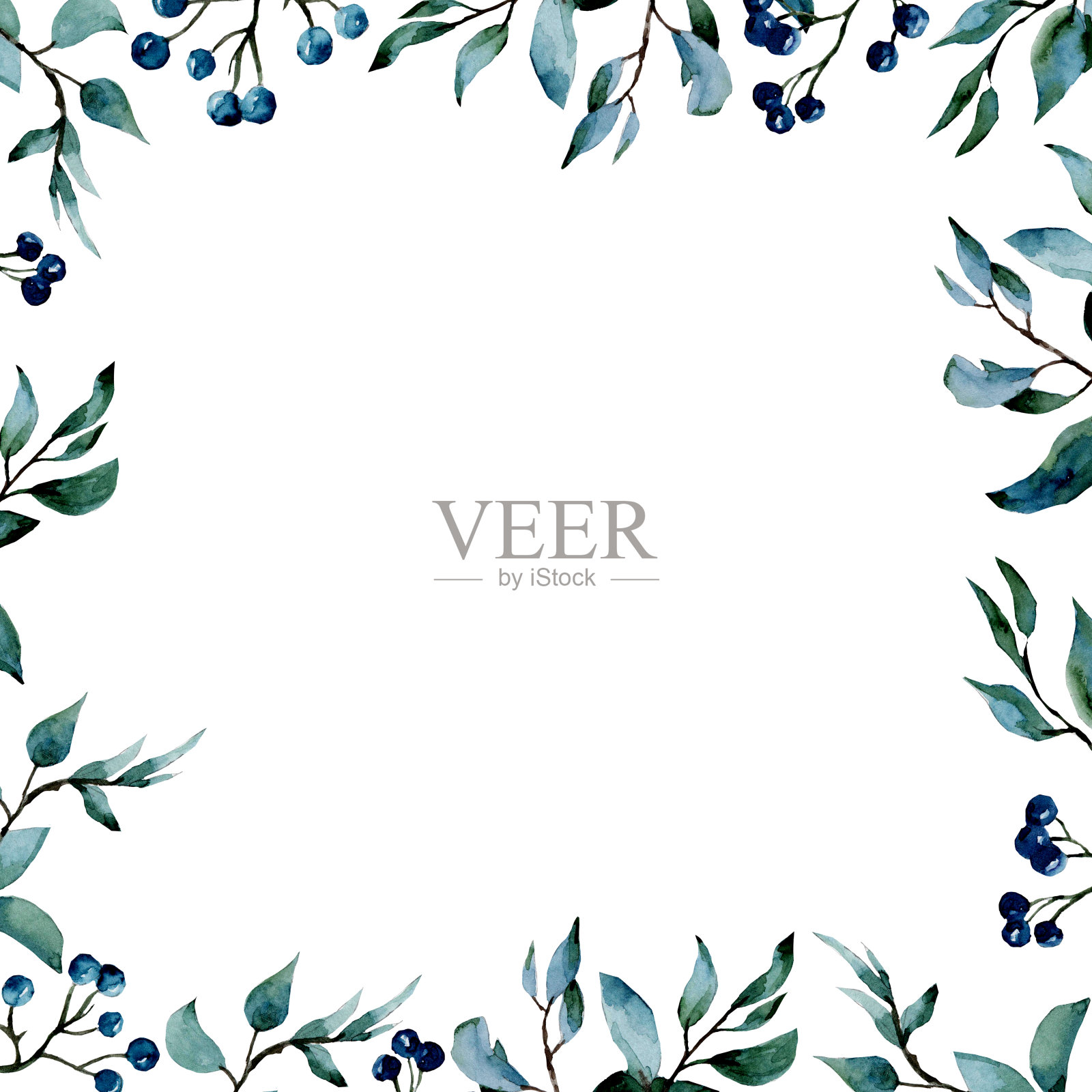 在白色背景上的树枝和浆果的水彩插图。框架装饰用的。插画图片素材