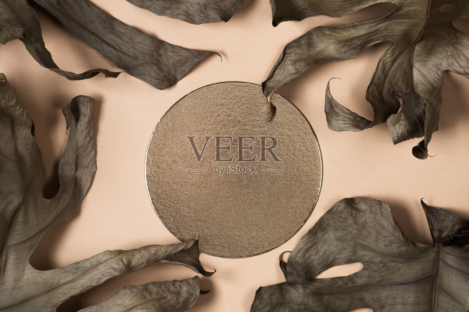 米色背景，上面有闪亮的金色圆圈。蓬莱蕉干树叶。照片摄影图片